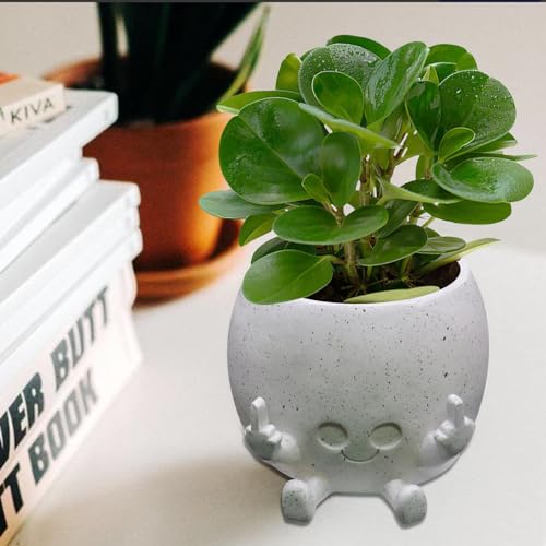 Smiling Plant Pot with Middle Fingers Up, Face Planter Pot Resin Flower Planters for Indoor Outdoor Plants Succulent Pots for String of Pearls Plant Live Gift Ideas for Mother (White) | Resin Face Planters for Indoor Outdoor, Unique Flower Pots with Drain