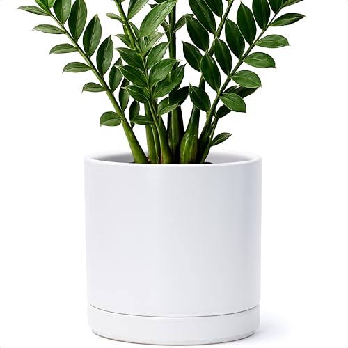 D'vine Dev 8.2 Inch Ceramic Planter Pot, White, 94-O-D-1 | Modern Cylinder Design, Drainage Hole & Saucer Included, Stable Structure, Elegant Home Accent - color: White, size: Medium