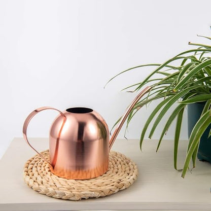 IMEEA 30oz Indoor Plant Watering Can Stainless Steel Long Spout, Rose Gold - color: 30oz (1l) - Rose Gold