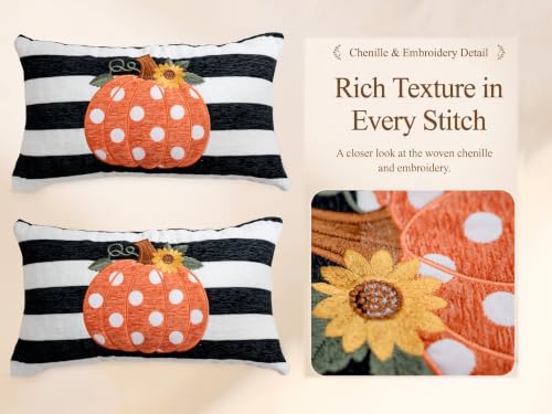 Embroidery Fall Pumpkin Pillow Covers Set of 2(Black & White,12x20) | Soft chenille, black-and-white stripe design, applique pumpkin and sunflower embroidery, hidden zipper, for sofa and bed - size: 20" x 12" (Pack of 2)