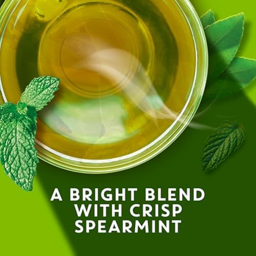 TAZO Organic Zen Green Tea K-Cups, Caffeine Free Tea with Refreshing Lemongrass & Spearmint, 22 Pods (Pack of 2) - size: 22 Count (Pack of 2) Organic Zen