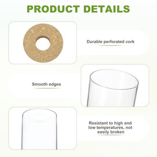 M METERXITY 1 Pack Glass Planter Terrarium with Wooden Cover, Desktop Plant Propagation Station Clear Vase for Hydroponic Plants Propagation/Home Garden Decor/Plant Lover [3.35'' x 5.91''] - size: 3.35'' x 5.91''