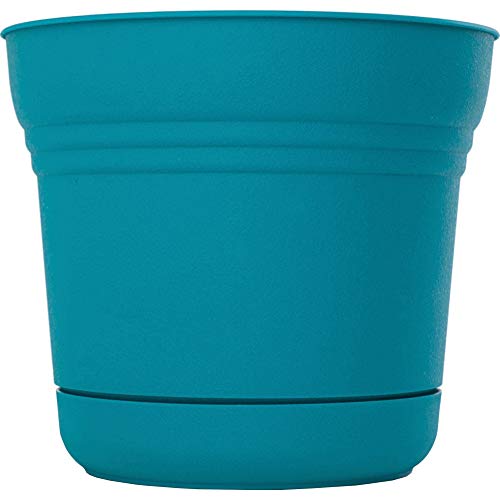 Bloem 814174023082 Saturn Planter with Saucer, 5", Calypso (SP0527), 5" - color: Calypso, size: 5"