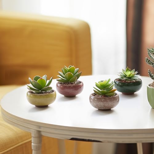T4U 2.5 Inch Small Ceramic Succulent Planter Pot with Drainage Hole Set of 6, Ice Crack Glaze Plant Container for Cactus, Gardening Plant Gifts for Women Mom Aunt Home Office Decor | Cactus planters set, indoor herb garden, bonsai tree starter, tabletop c