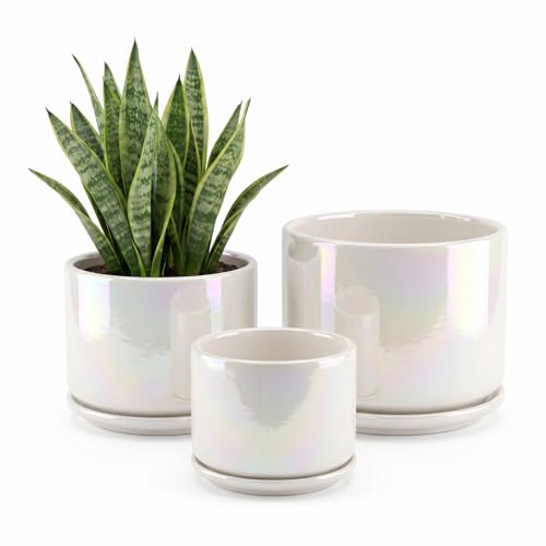 EFISPSS Plant Pots, 4+5+6 Inch Pots for Indoor Plants,Ceramic Planter Pot with Drainage Hole,Flower Pots for Succulent Cactus,Set of 3 - Rainbow Pearl Glaze - color: Rainbow Pearl Glaze