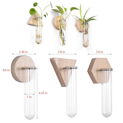 Wall Hanging Glass Planter Plant Propagation Station | Test Tube Vase, Wall Mounted Self-Adhesive Wooden Hydroponic Planter, for Home Office Wall Decor