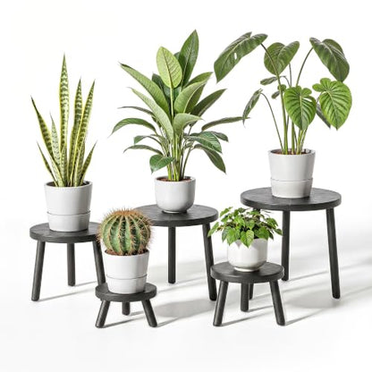 Wood Plant Stands 5-Pack Indoor, Plant Stool, Black | Premium carbonized pine with moisture-resistant, burr-free finish, Snap together in 60 seconds, no tools needed - color: Black, size: 5-Pack