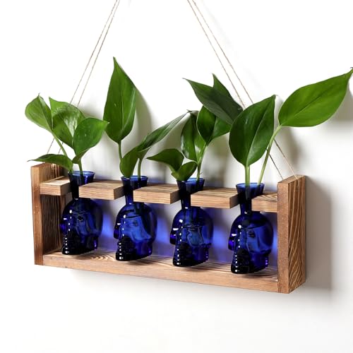 Plant Propagation Stations Halloween Skull Plant Terrarium Kit | Glass Vases Gift for Father Air Planter Home Office Decor - color: Blue