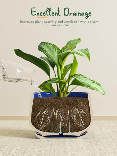 LE TAUCI Plant Pots, 4.1+5.1+6.5 inch, Set of 3, Ceramic Planters with Drainage Hole and Saucer, Indoor Flower Pot with Hole Mesh Pad, Gifts for Mom, Sapphire Blue - color: Sapphire Blue