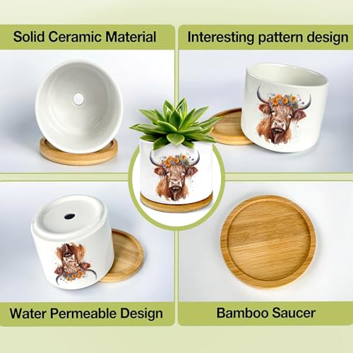 3Pcs Highland Cow Succulent Pots with Drainage and Bamboo Tray,3 Inch | Small Ceramic Planters for Plants,Cactus,Decoration for Office Home,Windowsill,Gifts for Women Mom (No Plants Included) - style: Highland Cow