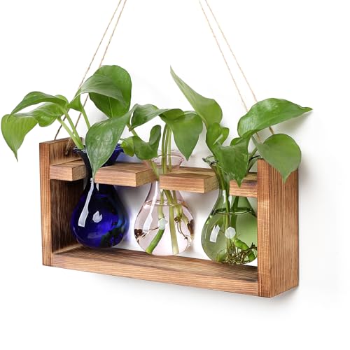 Plant Propagation Station Plant Terrarium Unique Birthday Gifts for Women | Plant Lovers Home Office Decor Planter with Wooden Stand - 3 Bulb Glass Vase - color: Color01