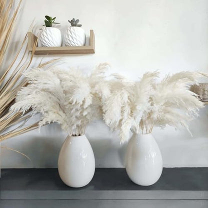30 Stems White Pampas Grass Fluffy, Boho Home & Party Decor, Natural Pompas Grass for Living Room & Table Decor, Gift (17.7 inch, 30 White ) - size: 30white - 17 Inch