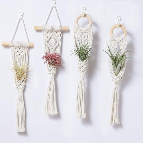 4 Pack Air Plant Holder, Air Plant Wall Hanger, Wall Plant Holder | Wall Planter, Macrame Plant Hanger, Air Plant Wall Hanging, Air Plant Wall Decor, Wall Planters for Indoor Plants - color: White, size: Single