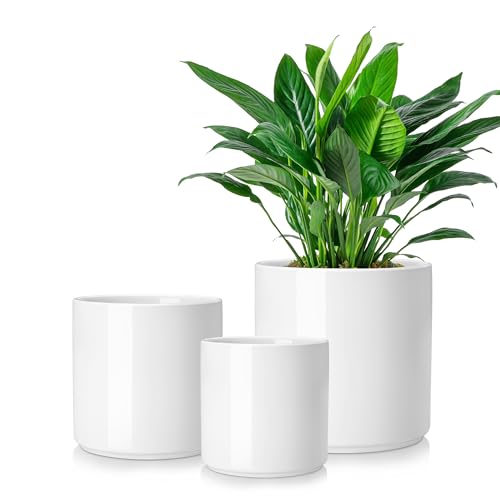 vancasso 6"+8"+10" Ceramic Pot for Plants, Large Outdoor Indoor Planter Pots with Drainage Holes, Set of 3, White - color: White, size: 6+8+10 Inch
