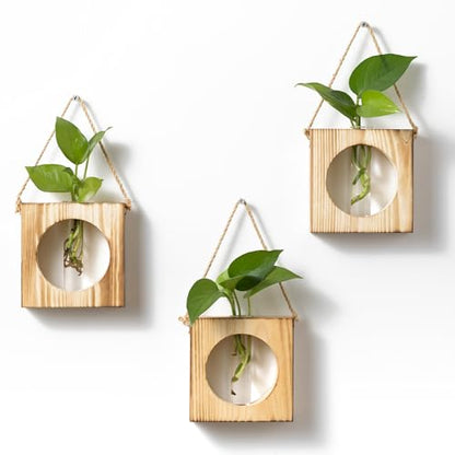 · GARDEN REPUBLIC · Propagation Stations Set of 3 - Propagation Vases for Plants - Hanging Wooden Wall Planter and Glass Test Tubes - Indoor Plant Holder, Hydroponic Decor