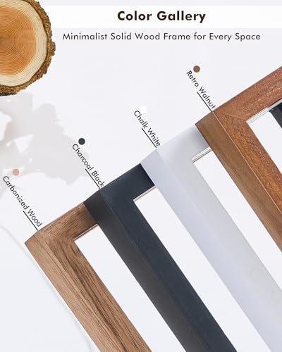 DLQuarts 20x30 Floating Picture Frame for 18x24/16x20/13x19/12x18 Photos, 2-Pack Solid Wood Double Plexiglass Wall Art Frames, Any Size Photo up to 20x30 Display, White - color: Chalk White, size: 20x30