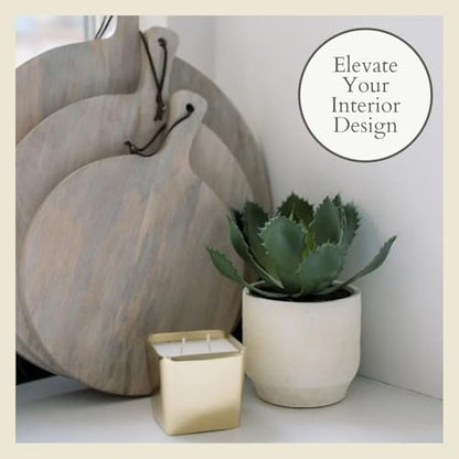 CG Hunter Round Faux Succulent Arrangement, Set-of-2 Premium Artificial Indoor Plants Enhances Interior Design, Display on Any Surface in Your Home Adding an Inviting Touch of Nature, Pots Included - size: 10" Round Set-of-2