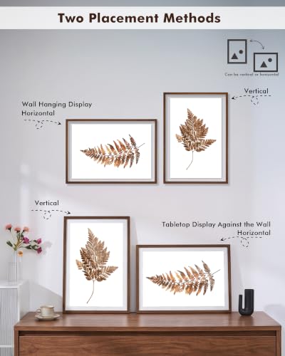 DLQuarts 20x30 Floating Picture Frame for 18x24/16x20/13x19/12x18 Photos, 2-Pack Solid Wood Double Plexiglass Wall Art Frames, Any Size Photo up to 20x30 Display, Black Walnut - color: Black Walnut, size: 20x30