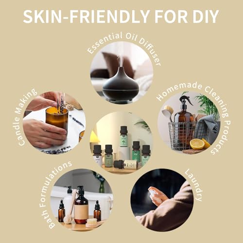 Essential Oils Set Top 6 Aromatherapy-Essential Oils for Diffuser for Home,Air Freshening Diffuser Oils Scents for Aromatherapy,Laundry,Candle&Soap Making,Humidifiers 6 X 10ML - color: Black