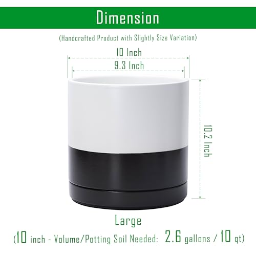 D'vine Dev 10 Inch Ceramic Planter Pot, Black White Two Tone, 94-O-E-L | Modern Cylinder Design, Drainage Hole & Saucer Included, Stable Structure, Elegant Home Accent - color: Layered Monochrome Black & White, size: Large