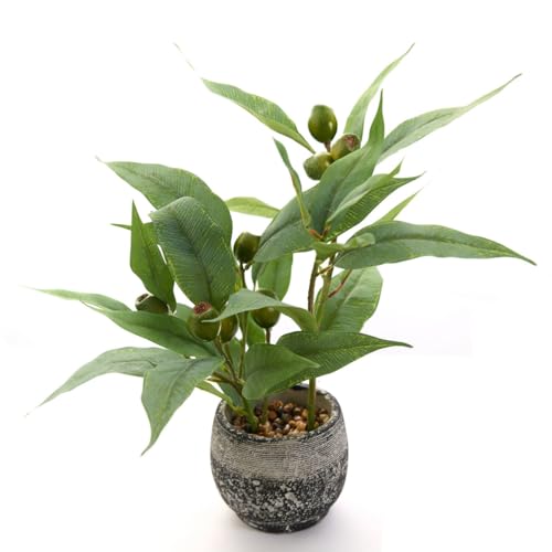AlphaAcc Artificial Eucalyptus Plant in Ceramic Planter for Table Decor | 14”Lifelike eucalyptus with leaves & fruits in black white ceramic planter. faux greenery for home office desk. - color: Taro Plant