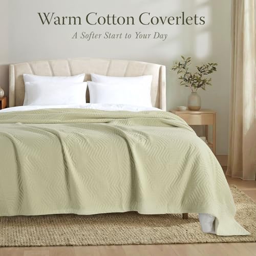 Threadmill Luxury Cotton Blankets for Queen Size Bed | All-Season 100% Cotton Queen Size Blanket | Aster Cozy Lightweight, Soft Breathable Coverlet fits Full Size Bed, 90x92 | Sage Green | 100% Cotton, Jacquard Pattern, 90x90 in, Breathable, All-Season, L