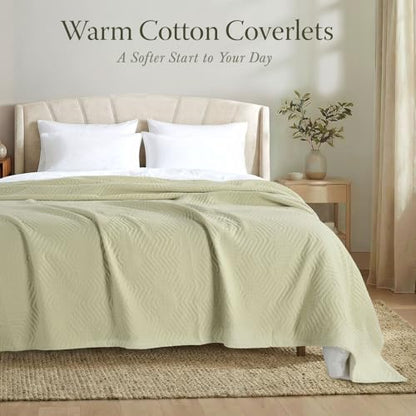 Threadmill Luxury Cotton Blankets for Queen Size Bed | All-Season 100% Cotton Queen Size Blanket | Aster Cozy Lightweight, Soft Breathable Coverlet fits Full Size Bed, 90x92 | Sage Green | 100% Cotton, Jacquard Pattern, 90x90 in, Breathable, All-Season, L