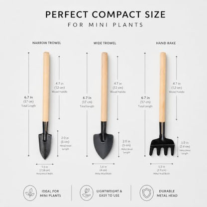 3Pcs Mini Gardening Tool Set with Wooden Handles Includes Small Hand Rake and Spade Ideal for Bonsai and Potted Plants Care