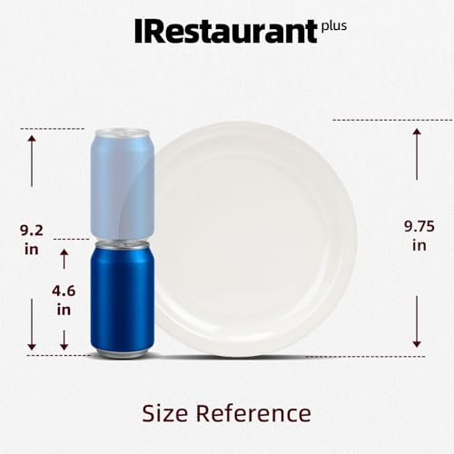Stoneware Narrow Rim Commercial Grade Dinnerware America White, Plate 9 5/8", Case of 24 - color: America White, size: Plate 9 5/8"