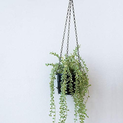 Hotop 8 Pcs Metal Hanging Chains with Ceiling Hooks, Garden Plant Hangers for Hanging Bird Feeders, Billboards, Chalkboards, Basket, Planters, Lanterns, Wind Chimes, Chain Hook DIY(16.38 Inch,Black) - color: Black, size: 16.38 Inch