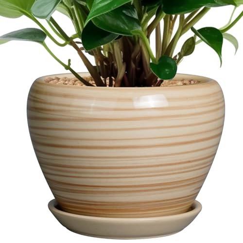 Ceramicfor 6 Inch Plant Pot Ceramic - Decorative Planter for Indoor Plants Succulent Pot with Drainage Hole and Saucer Round Planter Outdoor Flower Pot for House Patio Yellow - color: Yellow, size: 6 Inch
