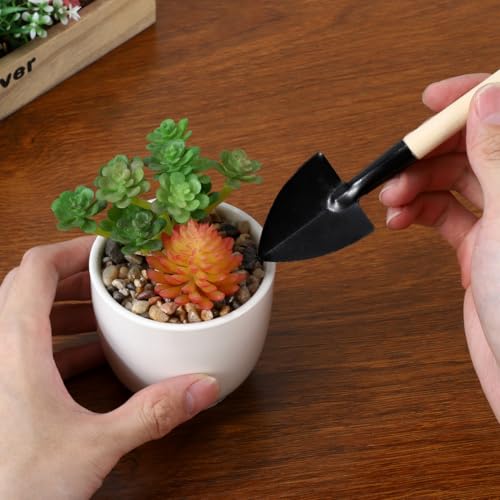 DOITOOL 6pcs Mini Gardening Tools Set with Wood Handle – Mini Trowel, Rake Shovel for Planting, Transplanting, Weeding – Compact Hand Tools for Bonsai and Indoor Outdoor Garden Use