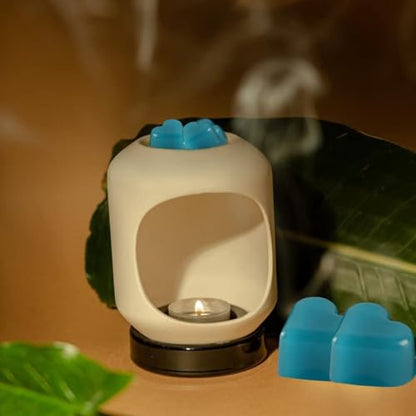 pliadvbu Scented Wax Melts Heart for Scented Wax Warmer - 100% Soy Melts - 12 Fragrances X 6 Heart Home Fragrance for DIY Candle Warmer
