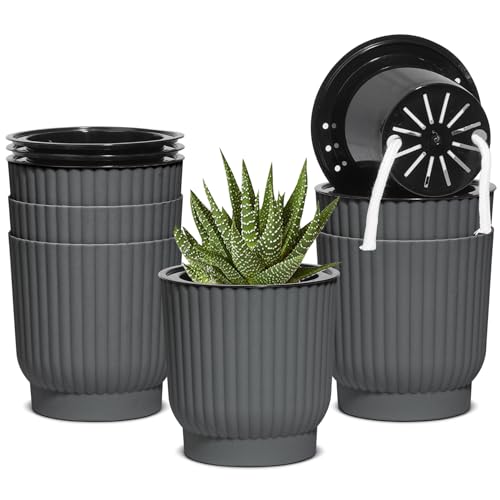 T4U Self Watering Pots for Indoor Plants, 4 Inch 6 Pack Planter Gray | African violet succulent herbs, Small desk windowsill, Bottom feed reservoir, Easy care maintenance - color: Gray, size: 4 Inch