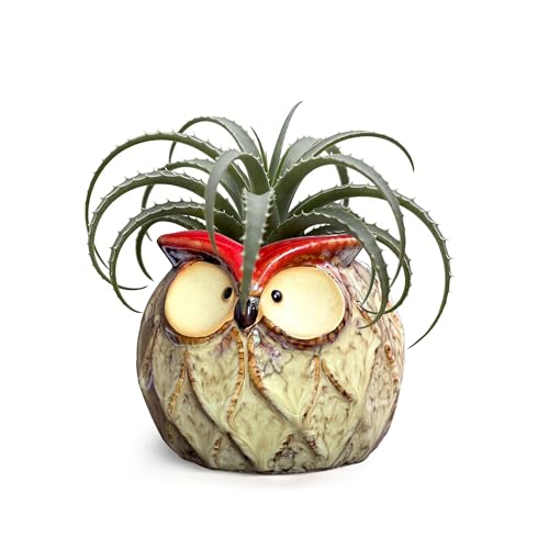 GeLive Owl Succulent Pot Ceramic Cactus Planter with Drainage Hole, Cute Small Plant Container for Desk Windowsill Tabletop Decor Pen Holder (No Plants) - size: 4.7" Small