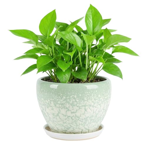 8.3 Inch Ceramic Planter with Saucer Leak-Proof Mesh &Drainage, Round Plant Pot with Gardening Gloves for Indoor Outdoor Plants (Jade Green) - color: Jade Green, size: 8.3 Inch