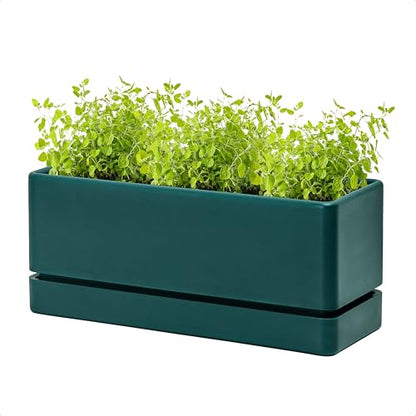 D'vine Dev Rectangular Planter, 12 x 4.5 in, Green, Set of 1, 76-X-C-1 | Minimalist Design, Large Planting Capacity, Drainage Holes & Saucer, Thick-Walled Durable Build, Ideal for Windowsills - color: Green