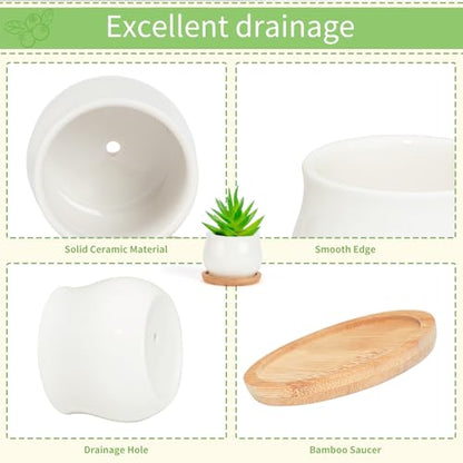 SHECIPIN Succulent Pots, White Mini 2.5 inch Ceramic Flower Planter Pot with Bamboo Tray, Pack of 12 - Plants Not Included - color: 12 Pack White Mini