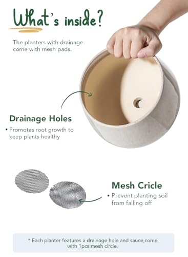 LE TAUCI Plant Pots, 4.1+5.1+6.5 inch, Set of 3, Ceramic Planters with Drainage Hole and Saucer, Indoor Flower Pot with Hole Mesh Pad, Gifts for Mom, Reactive Glaze Beige - color: Reactive Glaze Beige