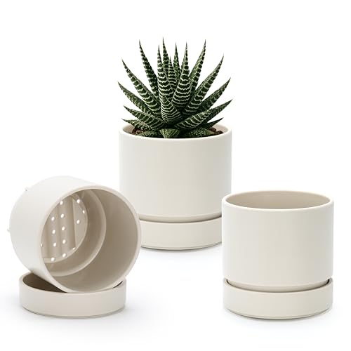 Phoenix Vine 4 Inch Planter Pot with Drainage Hole & Saucer, Deep Water Catch Tray, Straight Cylindrical Round Pot for Plants, Oatmeal, Pack of 3, 23-E-R-3 - color: Oatmeal, size: 4" (3 Pack)
