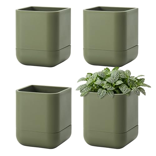Phoenix Vine 3.5 Inch Wall Mounted Self-Watering Planter Pot for Indoor Houseplants and Herbs | Hanging Planter for Window Sills, Bathroom Walls, Home & Office Décor, Olive, Set of 4, 01-A-F-4 - color: Olive, size: 3.5" (4 Pack)