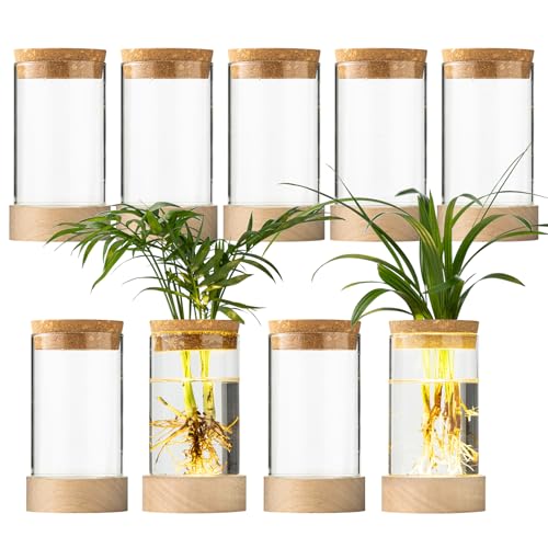 Glass Plant Propagation Stations, Propagation Vases for Plants with Ambient Light Base, Hydroponic Vase for Home & Office Windowsill Tabletop Decoration Desktop Vases for Living Room, Bedroom (9)