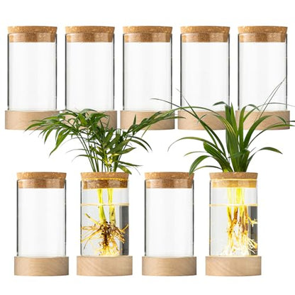 Glass Plant Propagation Stations, Propagation Vases for Plants with Ambient Light Base, Hydroponic Vase for Home & Office Windowsill Tabletop Decoration Desktop Vases for Living Room, Bedroom (9)
