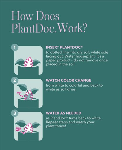 Paper-Based Soil Moisture Meter for Houseplants – Know When to Water, Prevent Overwatering – 5 Pack (PlantDoc Cactus) - style: Cactus PlantDoc - 5 Pack