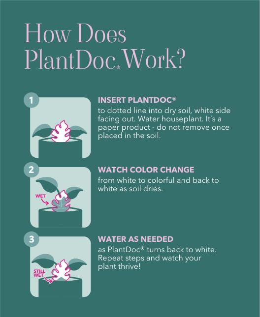 Paper-Based Soil Moisture Meter for Houseplants – Know When to Water, Prevent Overwatering – 5 Pack (PlantDoc Monstera) - style: Monstera PlantDoc - 5 Pack