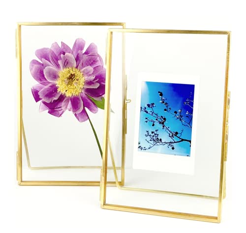 Beedecor Double Glass Frame for Pressed Flowers, Polaroid photos and Artwork,Gold 4x6 Standing Metal Picture Frames, Home Decor Photo Display, Set of 2 Pressed Flower Frames with Stand - color: Gold, size: 4x6