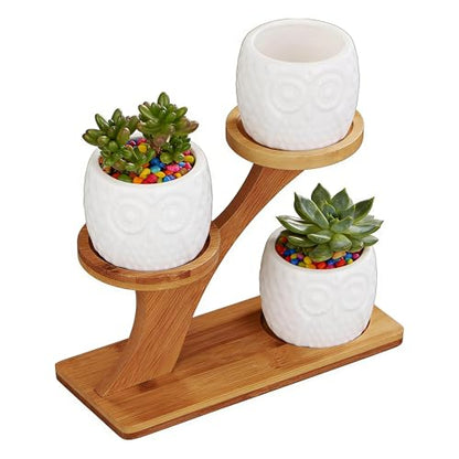 FLOWERPLUS Planter Pots Indoor, 3 Pack 3 Inch White Ceramic Decorative Small Owl Succulent Cactus Flower Plant Pot with Tree Tier Bamboo Stand for Garden Kitchen Home Office Desk Decorations