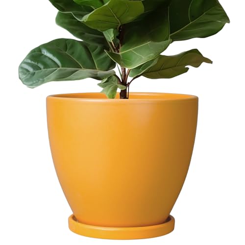 10 Inch Plant Pot - Ceramic Planter with Drainage Hole and Saucer, Modern Flower Pot, Round Planters for Indoor Plants, Home Patio Bathroom Porch Garden Living Room Decor, Orange - color: Glossy Orange, size: 10 Inch