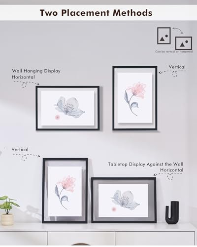 DLQuarts 13x19 Floating Picture Frame for 11x17/11x14 Photos, 2-Pack Solid Wood Double Plexiglass Wall Art Frames, Any Size Photo up to 13x19 Display, Black - color: Charcoal Black, size: 13x19