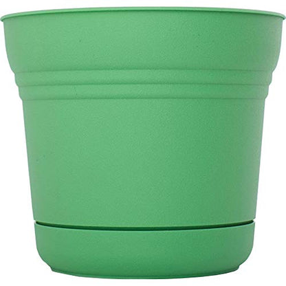 Bloem 814174023075 Saturn Planter with Saucer, 5", Honey Dew (SP0525), 5" - color: Honey Dew, size: 5"